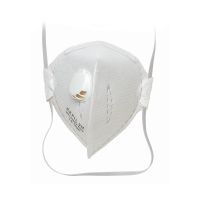 Flocx Pbm Set Stofmaskers FFP2 2 St